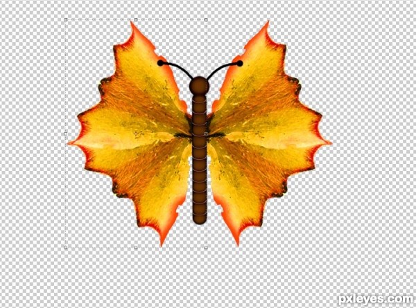 Creation of Butterfly: Step 17